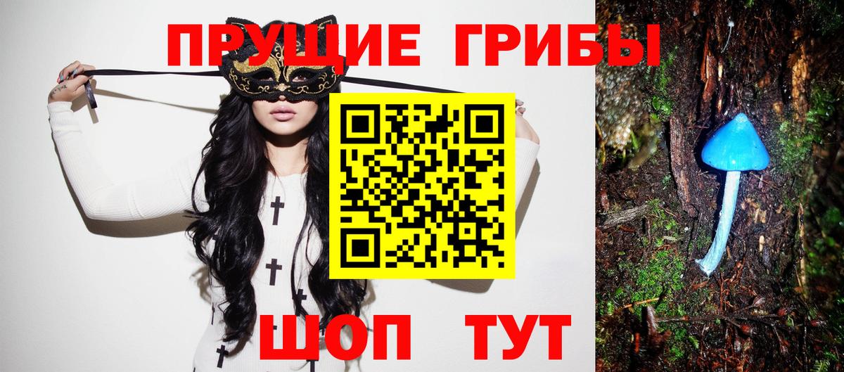 Псилоцибиновые грибы Psilocybine cubensis  Псилоцибиновые грибы Psilocybe  Вход с VPN  Кольчугино 